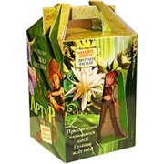 Подарочный комплект: В коробке (4 книги+ игрушка Селения): Артур и минипуты. Артур и запретный город. Артур и месть Урдалака. Артур и война двух миров