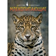 Млекопитающие. Энциклопедия  для школьников