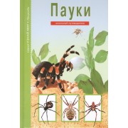 Пауки.