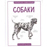 Собаки
