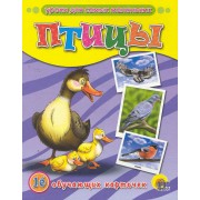 Птицы. 16 обучающих карточек