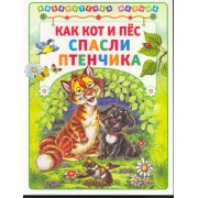 Как кот и пёс спасли птенчика