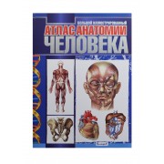Большой иллюстрированный атлас анатомии человека