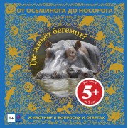 Где живет бегемот? Животные в вопросах и ответах