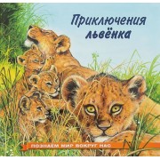 Приключения львёнка