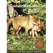 Дикие животные: Иллюстрированная энциклопедия