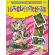 Насекомые. 16 обучающих карточек