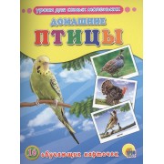 Домашние птицы