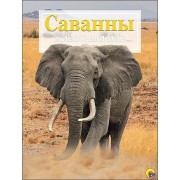 Саванны. Животный мир
