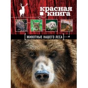 Красная книга. Животые нашего леса