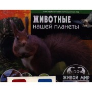 Животные нашей планеты.От океанских глубин до высоких гор (книга+стереоочки)