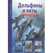 Дельфины и киты
