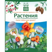 Кн.с Окошками.МПО.Растения