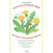 Лесные и полевые цветы.Дид.материал