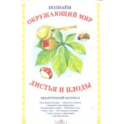 Папка.Дид.мат.Позн.окр.мир.Листья и плоды