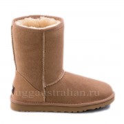 Classic Short Chestnut (36)