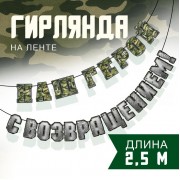 Гирлянда на ленте «С возвращением, наш герой», 250 см