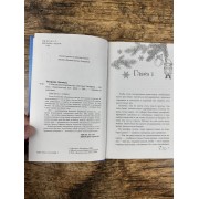 В Мышином Королевстве
