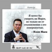 Блочной календарь 2026 год Илон Маск