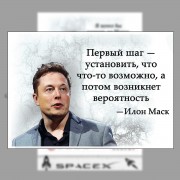 Блочной календарь 2026 год Илон Маск