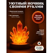 Опыты с реагентами набор «Ночник с кристаллом»