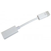 Mini DVI to HDMI Adapter