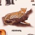 Плакат «Животные Африки» Плакат «Животные Африки»