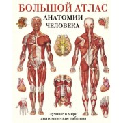 Большой атлас анатомии человека