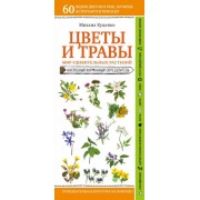 Михаил Куценко: Цветы и травы. Мир удивительных растений