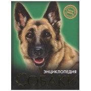 Собаки