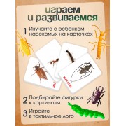 Развивающий набор с карточками «Мир насекомых», по методике Домана
