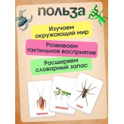 Развивающий набор с карточками «Мир насекомых», по методике Домана