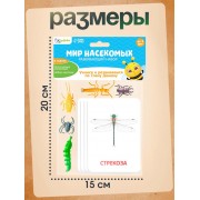 Развивающий набор с карточками «Мир насекомых», по методике Домана