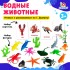 Развивающий набор с карточками «Водные животные», по методике Домана Развивающий набор с карточками «Водные животные», по методике Домана