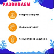 Развивающий набор с карточками «Водные животные», по методике Домана