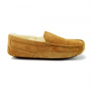 Ascot Chestnut R (41)