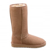 Classic Tall Chestnut R (36)