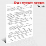 Стандартный бланк Трудовой договор