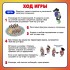 Настольная игра для детей «Бой на су-е-фа», 2-4 игрока, 8+ Настольная игра для детей «Бой на су-е-фа», 2-4 игрока, 8+
