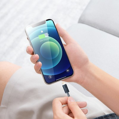 Кабель USB BASEUS Dynamic Series Fast Charging, USB - Lightning, 2.4А, 2 м, серый шифер Кабель USB BASEUS Dynamic Series Fast Charging, USB - Lightning, 2.4А, 2 м, серый шифер