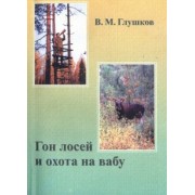 Владимир Глушков: Гон лосей и охота на вабу