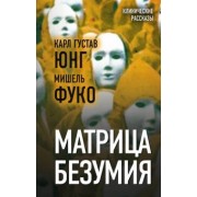 Фуко, Юнг: Матрица безумия