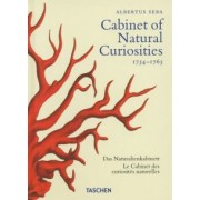 Albertus Seba: Cabinet of Natural Curiosities