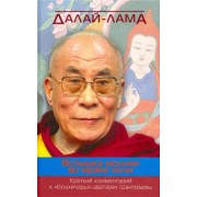 Далай-Лама: Вспышка молнии во мраке ночи. Краткий комментарий к "Бодхичарья-аватаре" Шантидевы