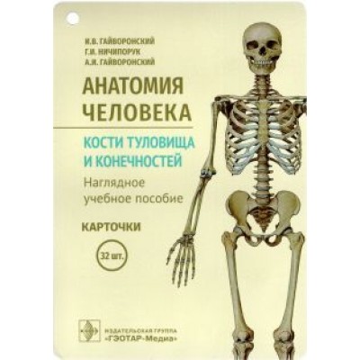 Гайворонский, Гайворонский, Ничипорук: Анатомия человека. Кости туловища и конечностей. Карточки Гайворонский, Гайворонский, Ничипорук: Анатомия человека. Кости туловища и конечностей. Карточки