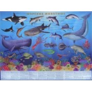 Морские животные. Настольное издание