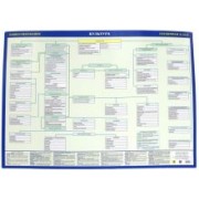 ЕГЭ Культура. Обществознание