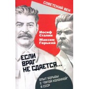 Иосиф Сталин: «Если враг не сдается». Опыт борьбы с «5 колонной»