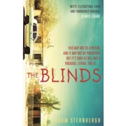 Adam Sternbergh: The Blinds
