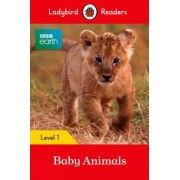 BBC Earth. Baby Animals. Level 1